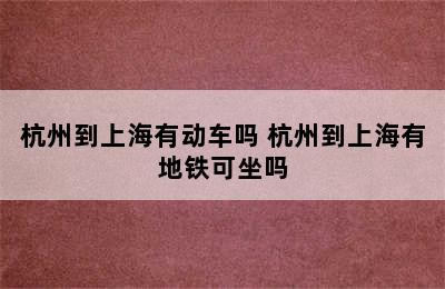 杭州到上海有动车吗 杭州到上海有地铁可坐吗